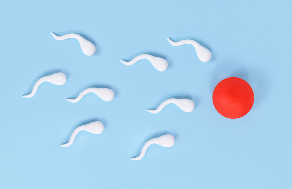 Men with superior sperm quality live longer
