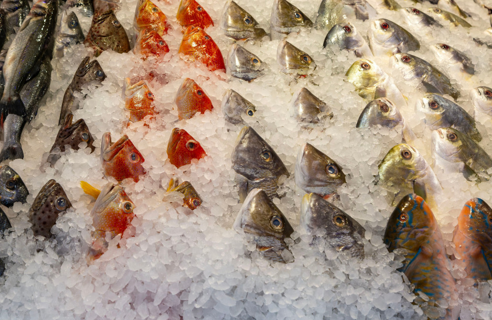 Children are more sociable if they eat fish