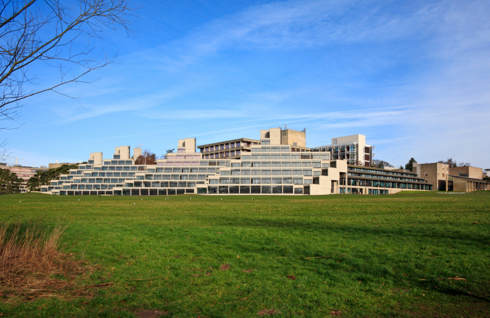 University of East Anglia issues 'do not eat conkers' alert to students