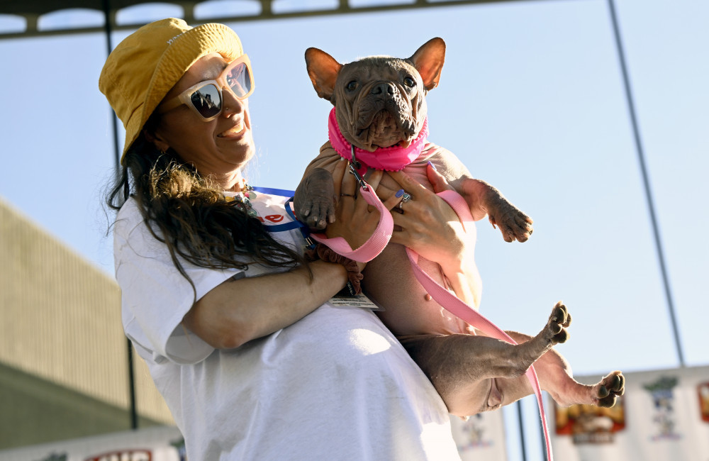 Hairless bulldog named World's Ugliest Dog