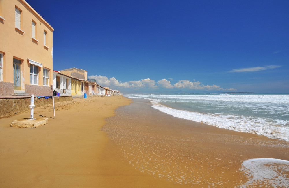 Beaches shut in Spain over deadly creature