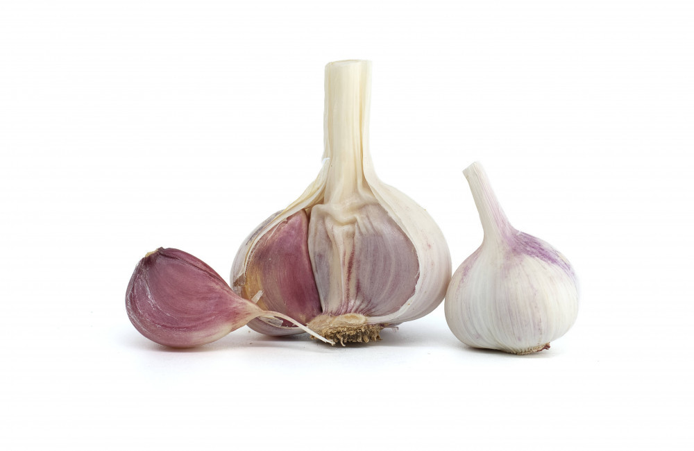 Garlic could be the best mouthwash for fighting germs, scientists find