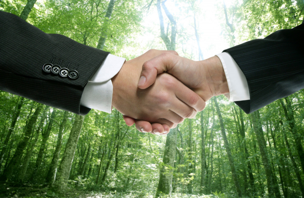 Gen Z petrified of handshakes