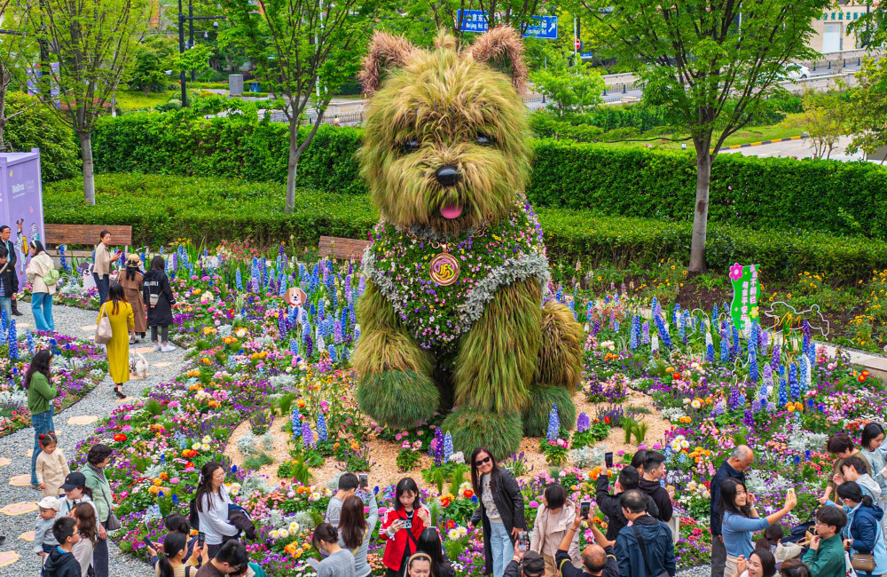 Giant floral puppy takes centre stage at Shanghai International Flower Show