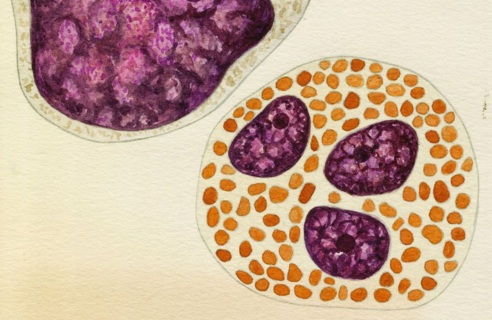 Breakthrough jab may reverse ageing