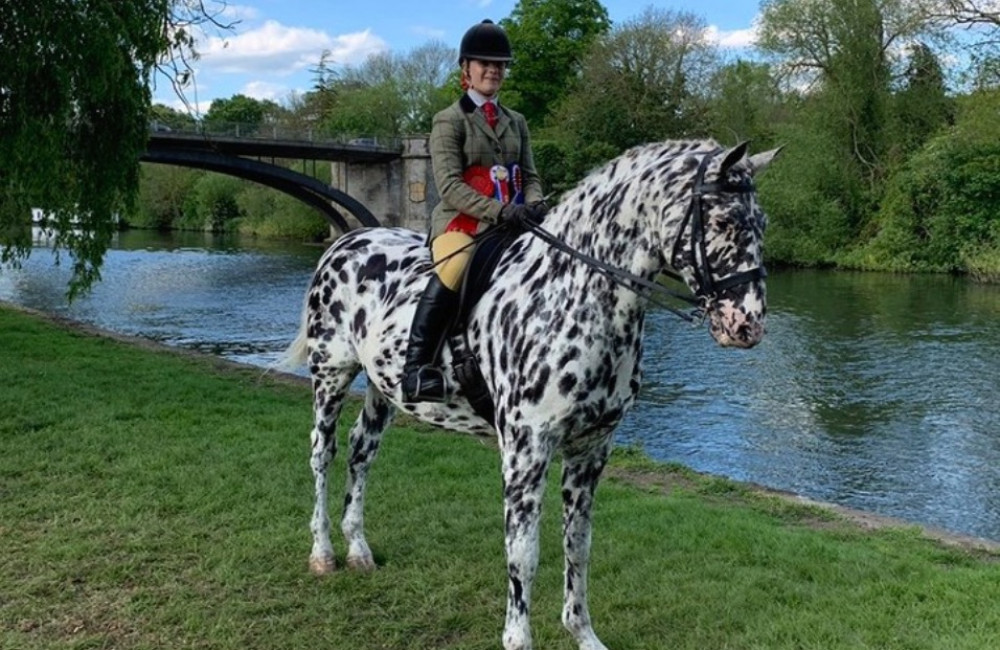 Blind horse learns ‘braille’ to chase dressage glory