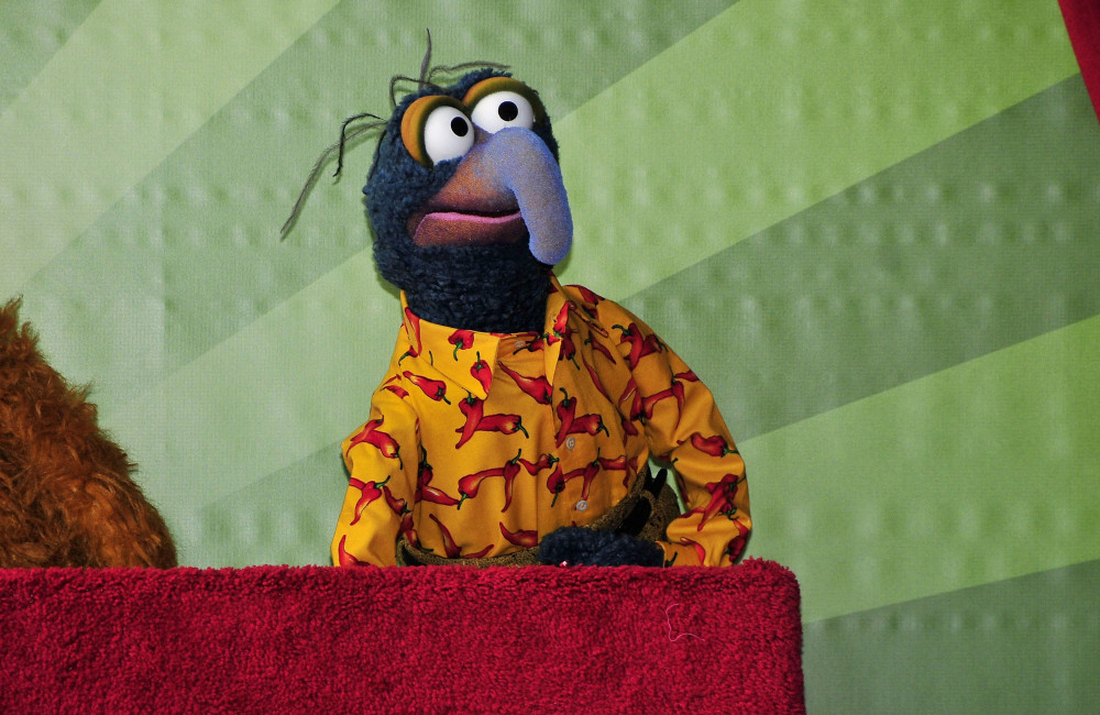Biologists FINALLY have their say on what animal The Muppets' Gonzo is